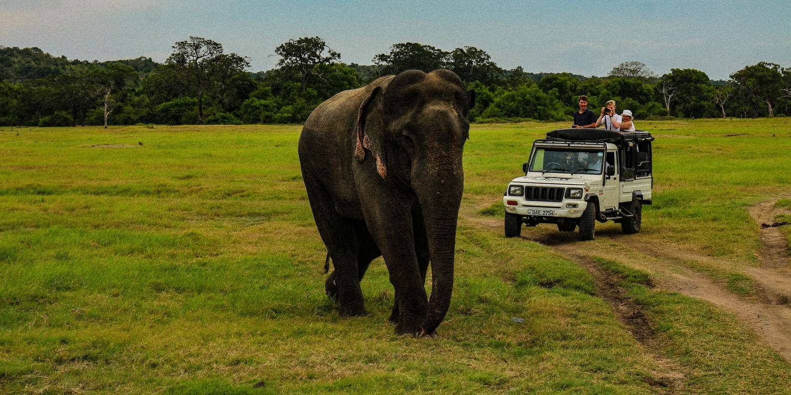 Safari Jeep Image 1